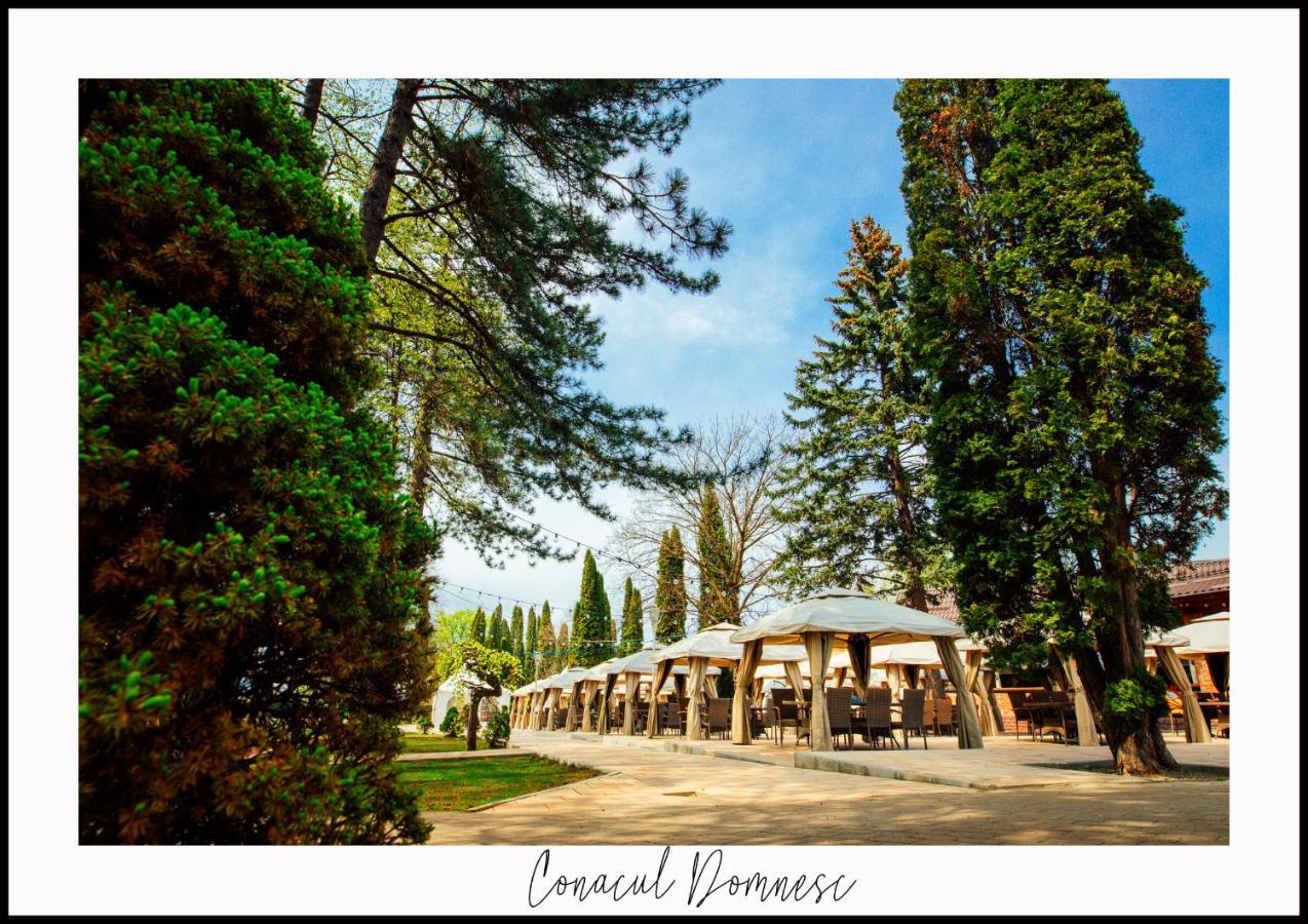 Conacul Domnesc Scheia Exterior foto