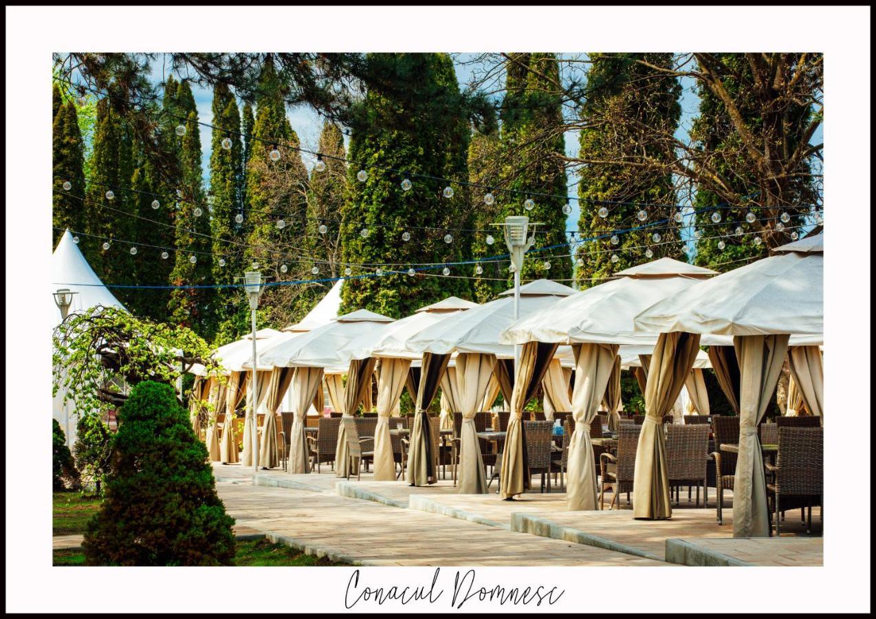 Conacul Domnesc Scheia Exterior foto